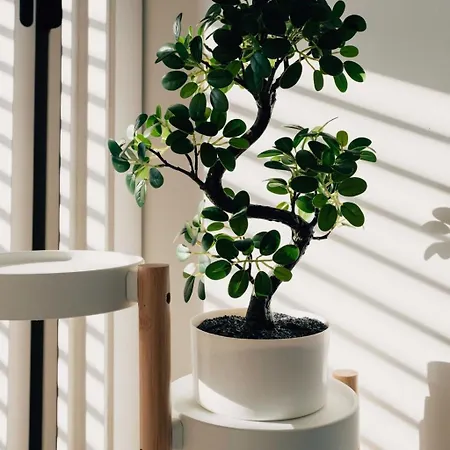 Cosy, Entre Travail Et Detente *