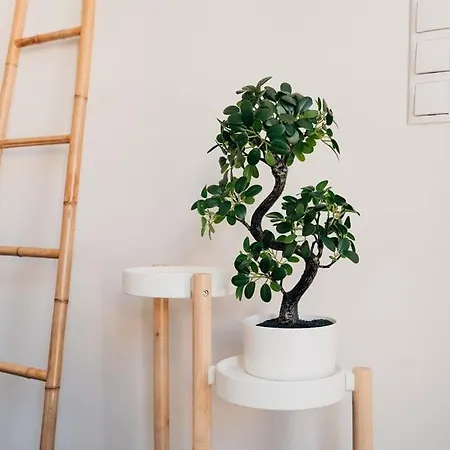 Apartamento Cosy, Entre Travail Et Detente