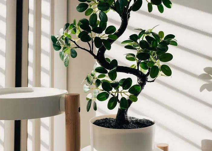 Cosy, Entre Travail Et Detente *