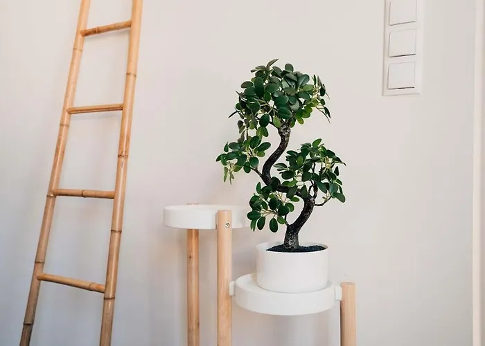 아파트 Cosy, Entre Travail Et Detente